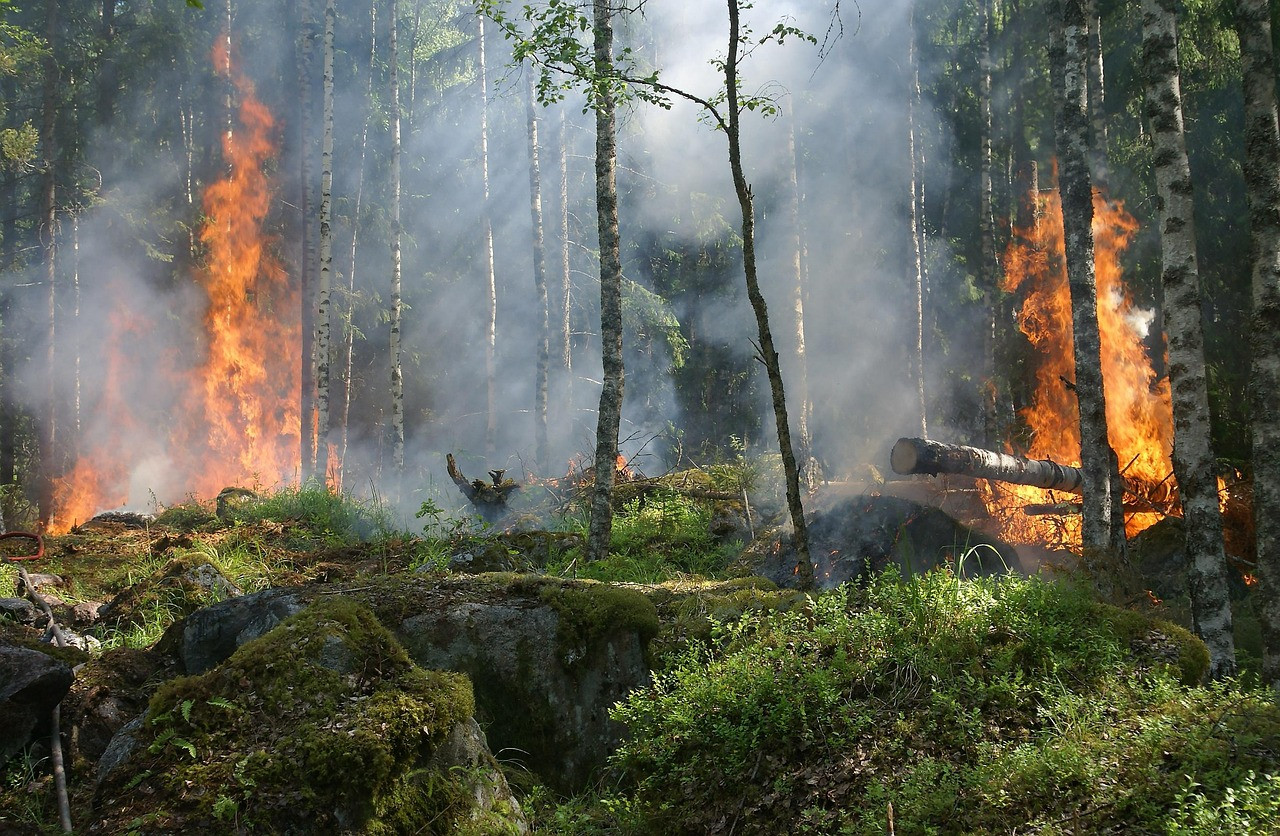 Representative image: wildfire smoke near suburban houses