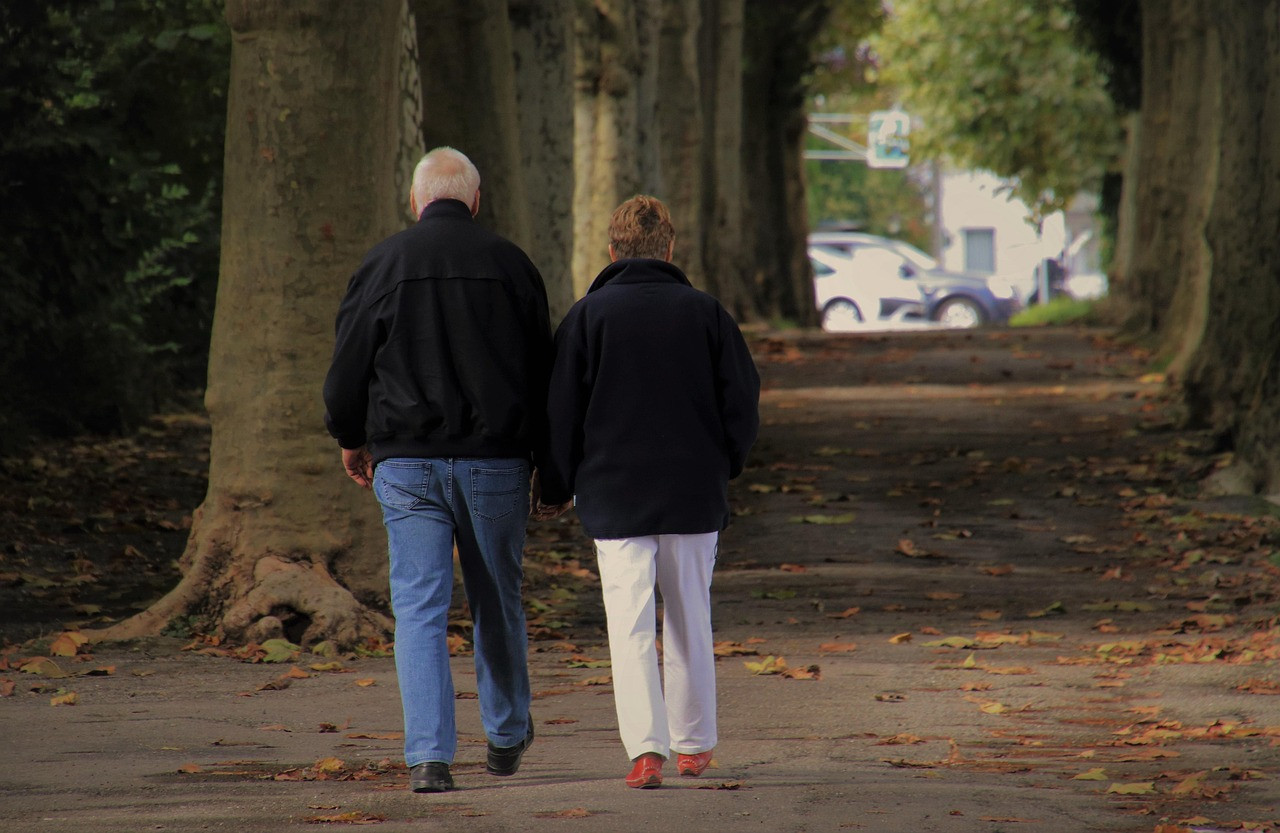 Representative image: elderly couple walking in park