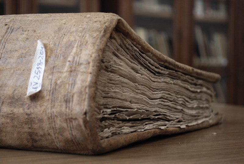X-rays read how palm-leaf manuscripts were made, without cutting a sample
