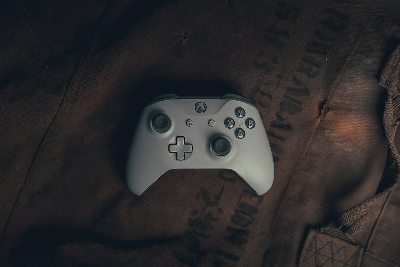 Representative image: gamer playing video game