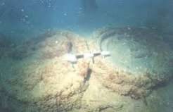 West Asian Torpedo Jar Fragment Found in Underwater Exploration off Poompuhar