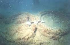 West Asian Torpedo Jar Fragment Found in Underwater Exploration off Poompuhar